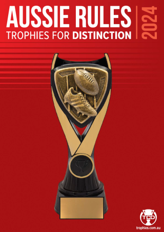 Football trophy catalogue